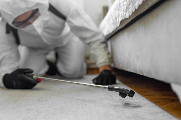 Professional Pest Control technician working in Matamoras, OH