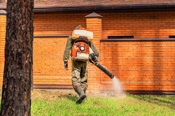 Trusted Mosquito Control service in Matamoras, OH - Nex Pest Control